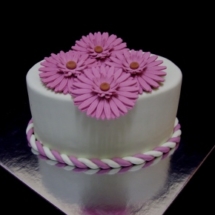 Birthday Cake 834